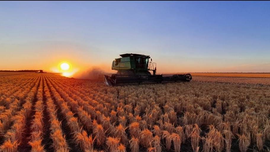 Colheita record de grãos no Brasil chega a 1milhão de toneladas por dia.