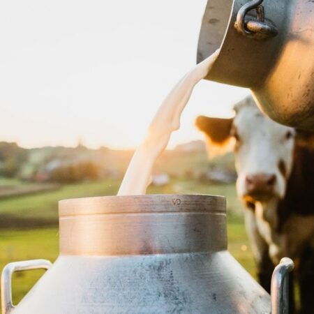 O aumento dos custos de produção de leite em março: uma análise da Embrapa Gado de Leite